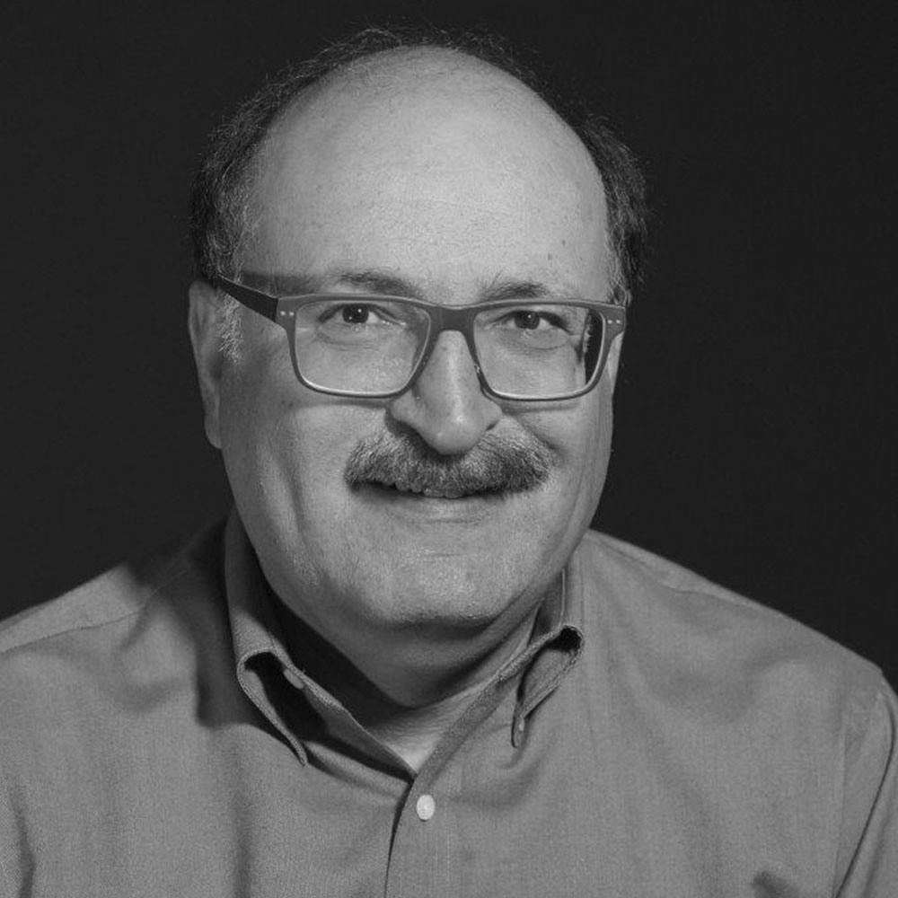 Steven J Stein portrait