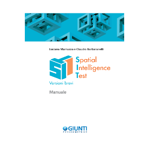 SIT - Spatial Intelligence Test