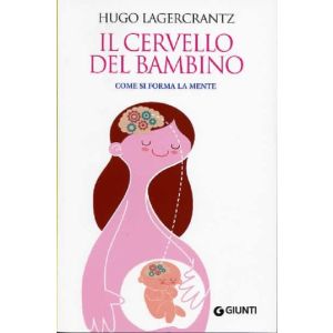 Il cervello del bambino 