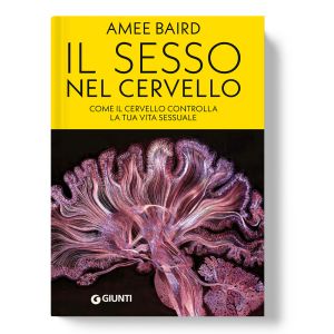 Il sesso nel cervello-copertina