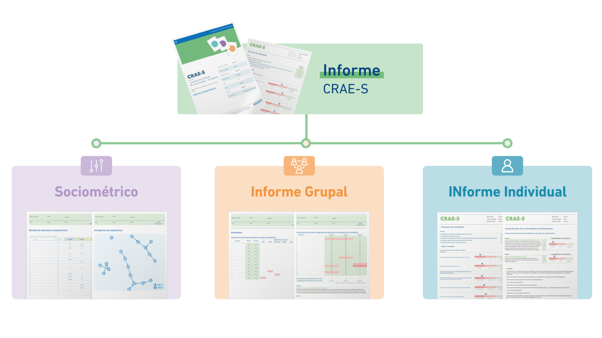 tipos de informes de salida del cuestionario de acoso escolar CRAE-S
