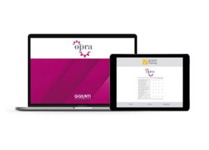 OPRA Evaluación de Riesgo Psicosocial y Organizacional