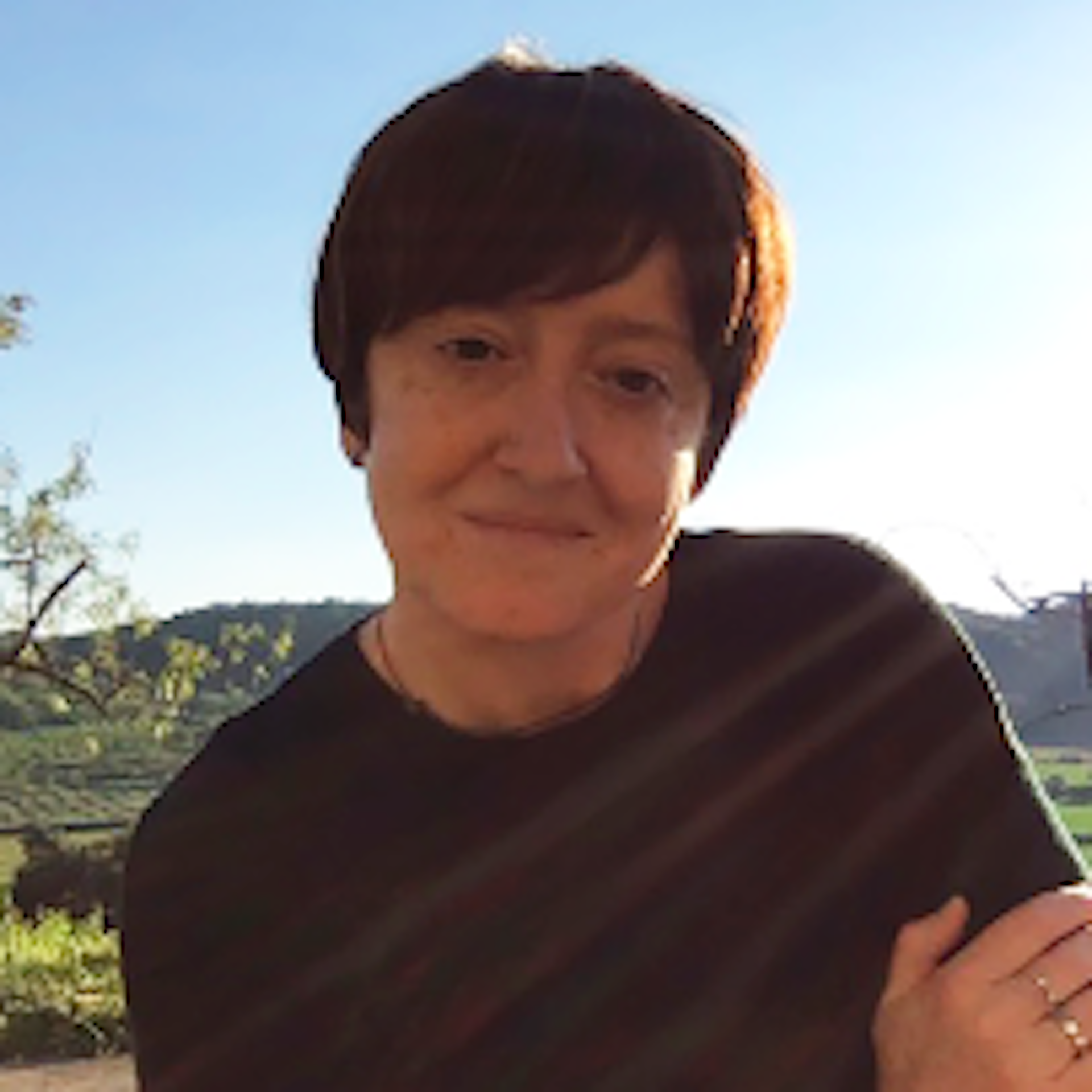 Docenti Elena Salillas